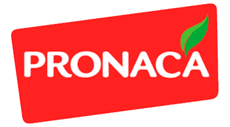 PROCESADORA NACIONAL DE ALIMENTOS C.A. PRONACA