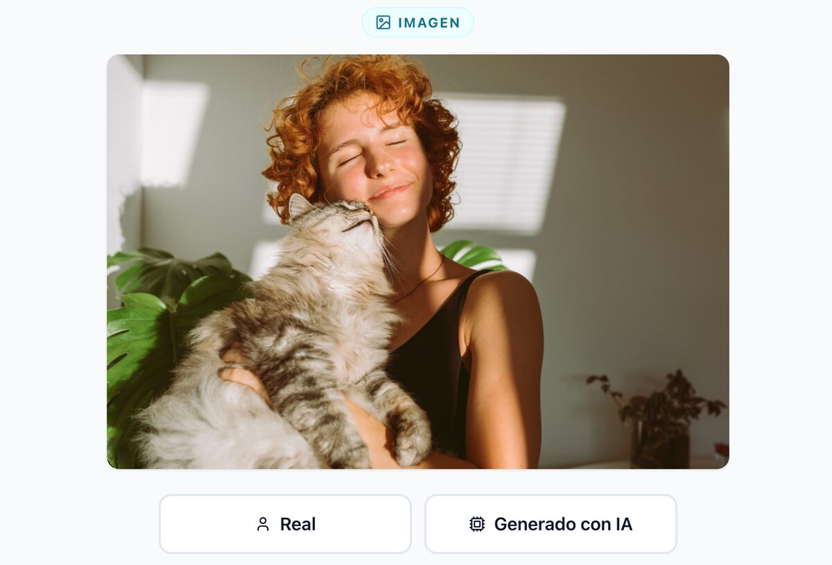 Captura del desafío Real o IA: una fotografía de una persona abrazando a un gato, con dos botones debajo para elegir entre Real o Generado con IA
