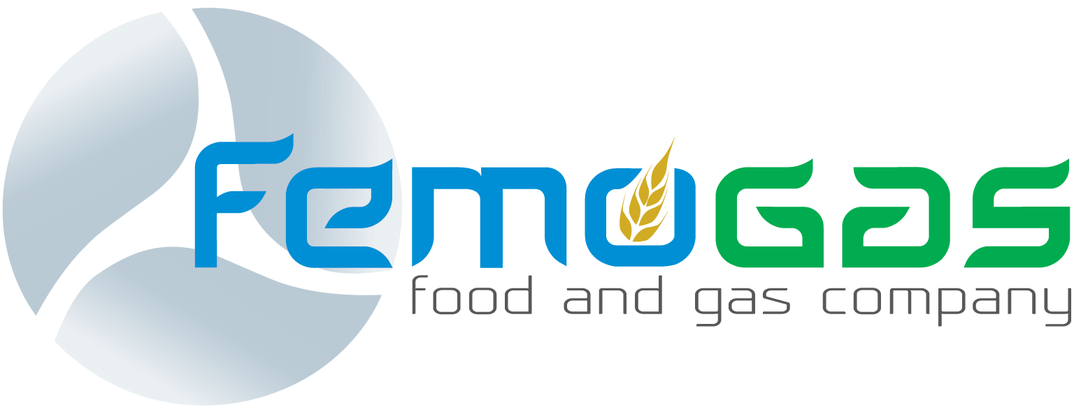 Femo Gas SpA